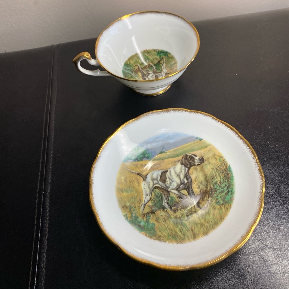 Salisbury Hunting Dog Tea Cup and Saucer. fine bone china. england